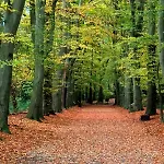 Nordsicht Lindenhof - Ruhe, Und Nordseeluft In Ostfriesland Geniessen *