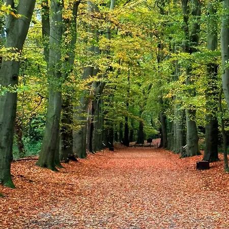 Nordsicht Lindenhof - Ruhe, Und Nordseeluft In Ostfriesland Geniessen *