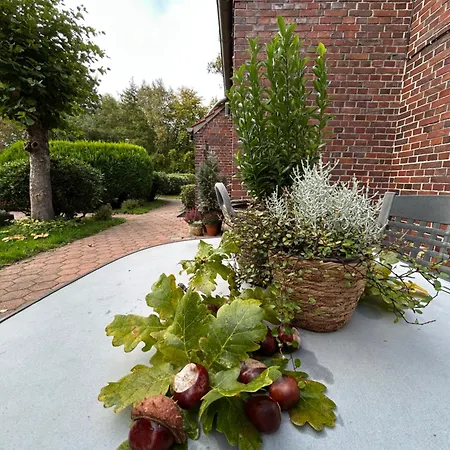 Nordsicht Lindenhof - Ruhe, Und Nordseeluft In Ostfriesland Geniessen Aurich
