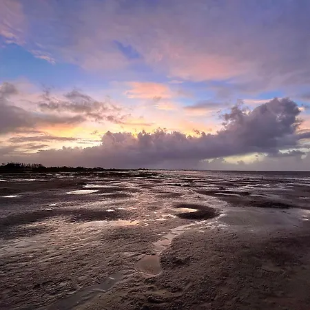 Nordsicht Lindenhof - Ruhe, Und Nordseeluft In Ostfriesland Geniessen * Aurich