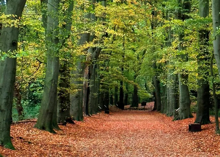 Nordsicht Lindenhof - Ruhe, Und Nordseeluft In Ostfriesland Geniessen *