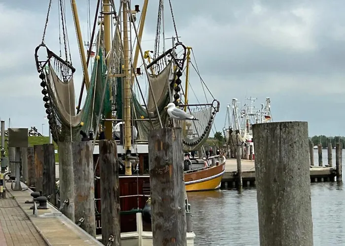 Nordsicht Lindenhof - Ruhe, Und Nordseeluft In Ostfriesland Geniessen 公寓 奥利希